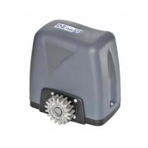 Motor Rozzi